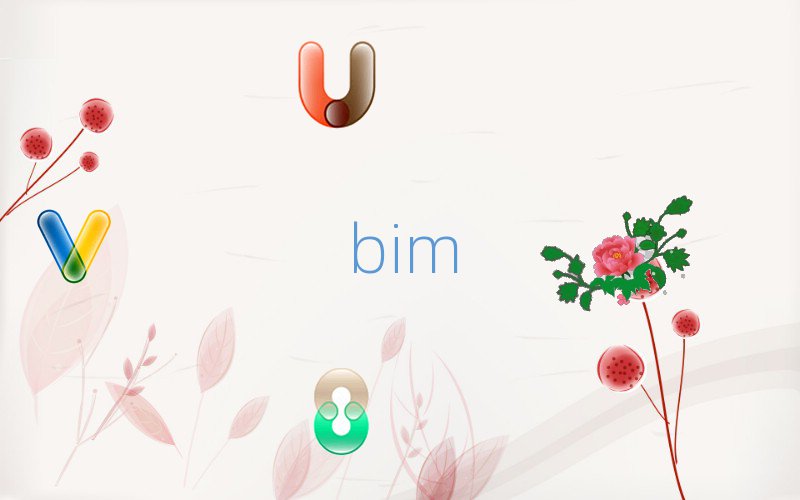 ѧBIM